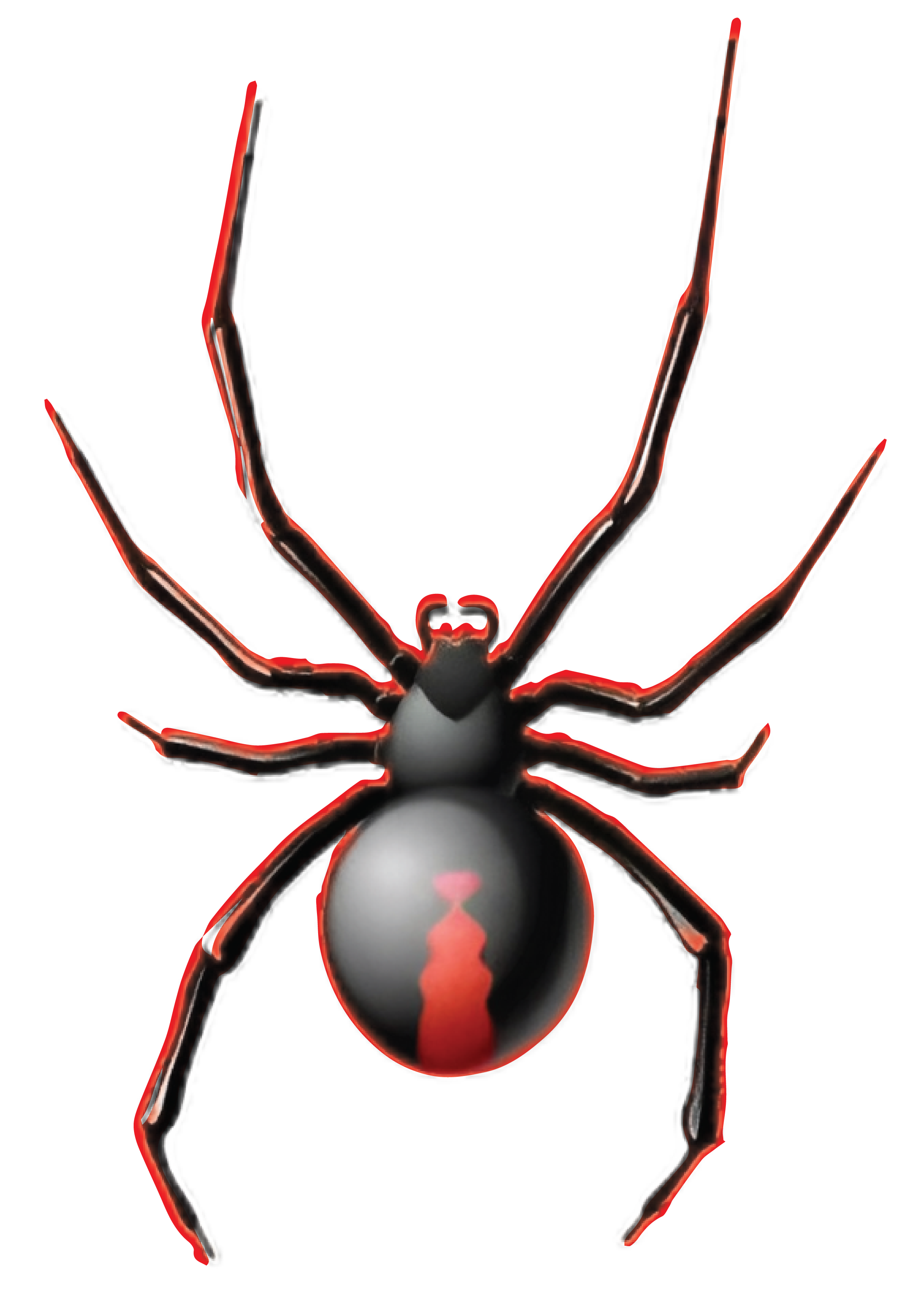 Black Widow logo-01